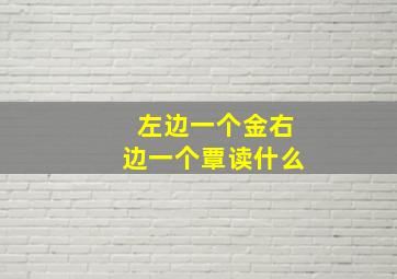 左边一个金右边一个覃读什么