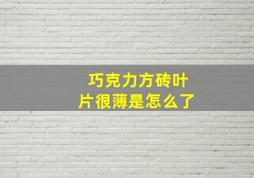 巧克力方砖叶片很薄是怎么了