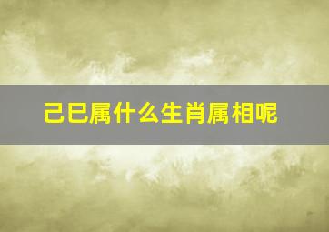 己巳属什么生肖属相呢