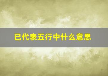 已代表五行中什么意思