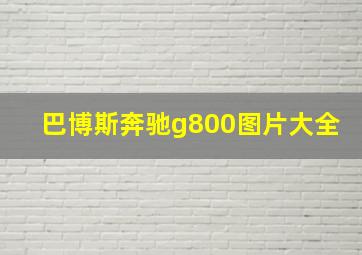 巴博斯奔驰g800图片大全