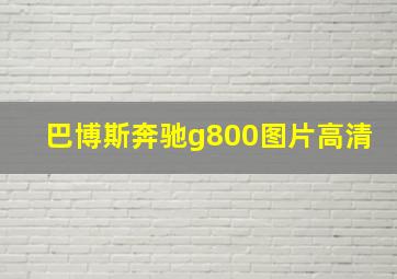 巴博斯奔驰g800图片高清