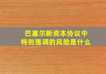 巴塞尔新资本协议中特别强调的风险是什么