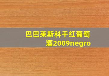 巴巴莱斯科干红葡萄酒2009negro