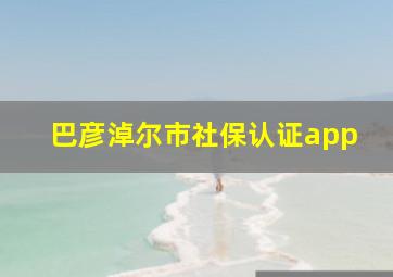 巴彦淖尔市社保认证app