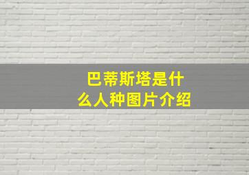 巴蒂斯塔是什么人种图片介绍