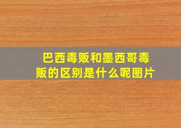 巴西毒贩和墨西哥毒贩的区别是什么呢图片