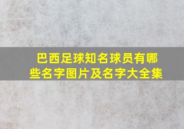 巴西足球知名球员有哪些名字图片及名字大全集