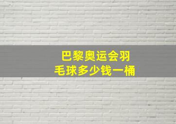 巴黎奥运会羽毛球多少钱一桶