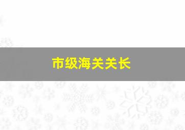 市级海关关长