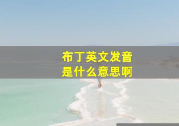 布丁英文发音是什么意思啊