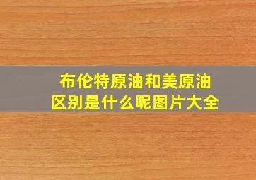 布伦特原油和美原油区别是什么呢图片大全