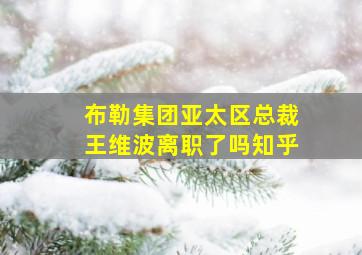 布勒集团亚太区总裁王维波离职了吗知乎