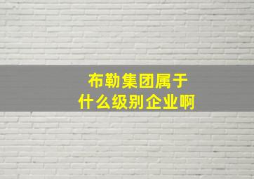 布勒集团属于什么级别企业啊