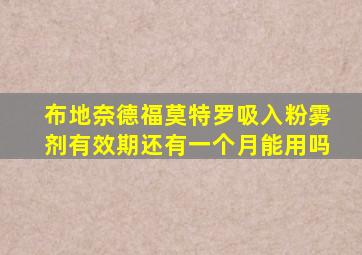 布地奈德福莫特罗吸入粉雾剂有效期还有一个月能用吗