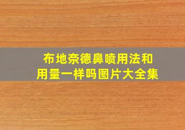 布地奈德鼻喷用法和用量一样吗图片大全集