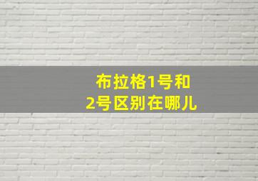 布拉格1号和2号区别在哪儿