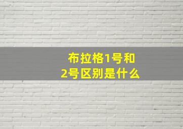 布拉格1号和2号区别是什么