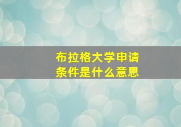 布拉格大学申请条件是什么意思