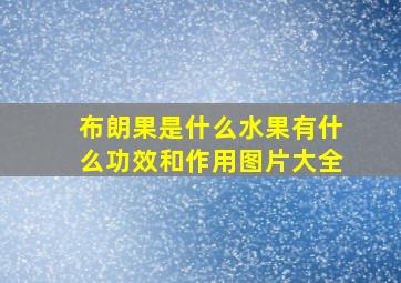 布朗果是什么水果有什么功效和作用图片大全