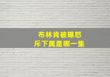 布林肯被曝怒斥下属是哪一集