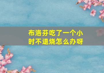 布洛芬吃了一个小时不退烧怎么办呀