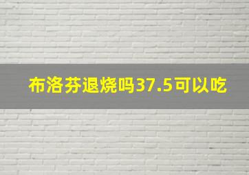 布洛芬退烧吗37.5可以吃