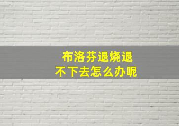 布洛芬退烧退不下去怎么办呢