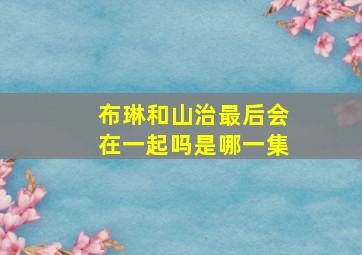 布琳和山治最后会在一起吗是哪一集