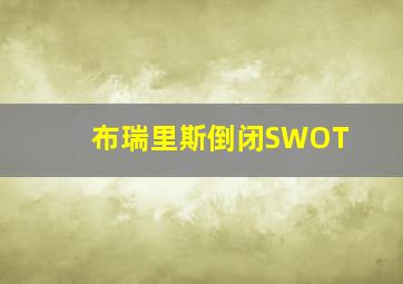 布瑞里斯倒闭SWOT