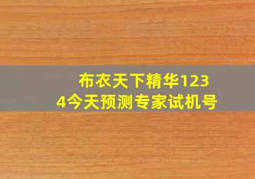 布衣天下精华1234今天预测专家试机号