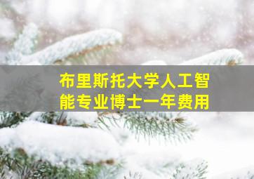 布里斯托大学人工智能专业博士一年费用