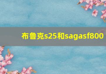 布鲁克s25和sagasf800