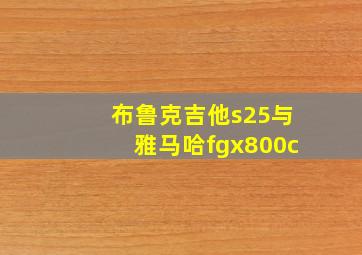 布鲁克吉他s25与雅马哈fgx800c