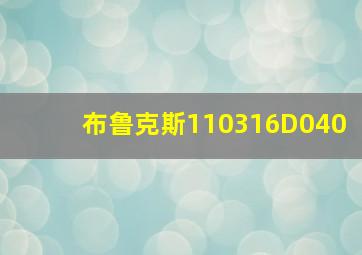 布鲁克斯110316D040