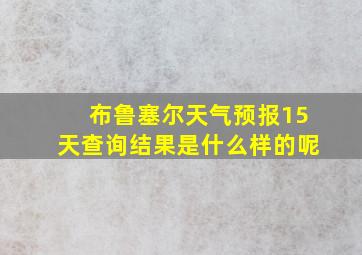 布鲁塞尔天气预报15天查询结果是什么样的呢