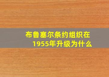 布鲁塞尔条约组织在1955年升级为什么