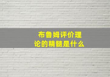 布鲁姆评价理论的精髓是什么