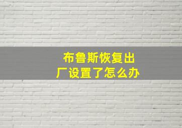 布鲁斯恢复出厂设置了怎么办