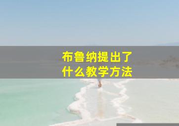 布鲁纳提出了什么教学方法