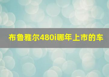 布鲁雅尔480i哪年上市的车