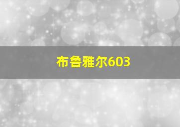 布鲁雅尔603