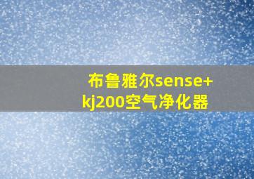 布鲁雅尔sense+kj200空气净化器