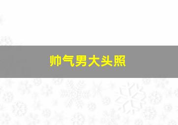 帅气男大头照