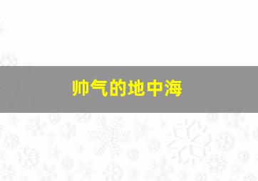 帅气的地中海