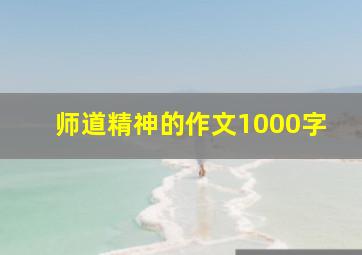 师道精神的作文1000字