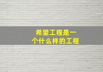 希望工程是一个什么样的工程