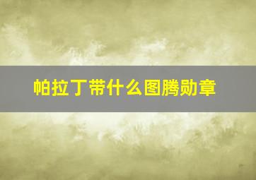 帕拉丁带什么图腾勋章