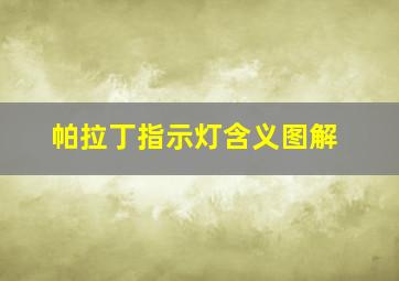 帕拉丁指示灯含义图解