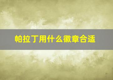 帕拉丁用什么徽章合适